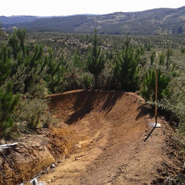 Trial at riverhead forest